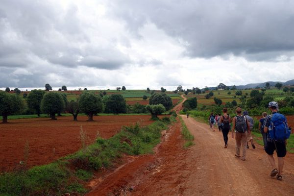 trekking through the mesmerizing landscape of kalaw