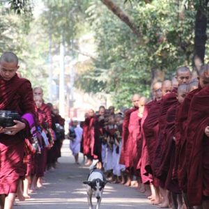 Monks at Mahagandaryone Monastery