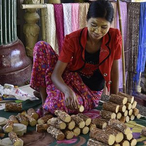 A Burmese woman sells thanakha in the market of Pakokku