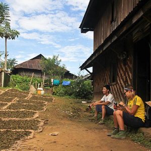 meet the local in Hsipaw