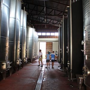 the wine factory in Red Mountain Estate