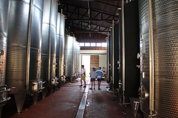 the wine factory in Red Mountain Estate