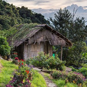 trekking through the beautiful village in Chiang Mai is an amazing activity