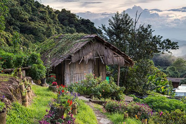 trekking through the beautiful village in Chiang Mai is an amazing activity