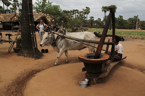 visit some families in the village in Bagan to have an interesting meet with the rural dwellers