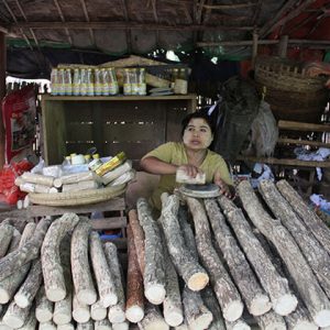 the local woman selling tanakha in Nyaung U market