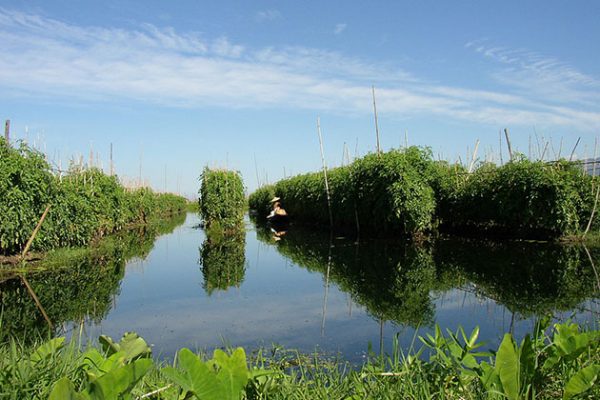 inle lake floating gardens