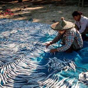 local villagers at a fishing village in Ngapali