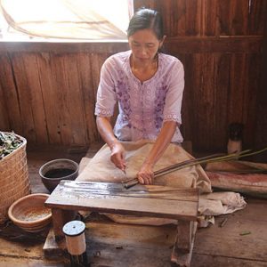 the local artisan in lotus weaving village