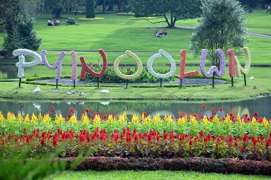 Pyin Oo Lwin to Hold the Flower Festival in December - Myanmar Tours