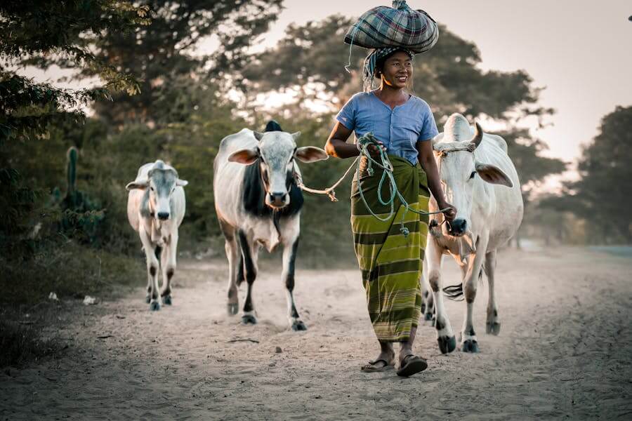 myanmar travel advisory updated 2025-2026